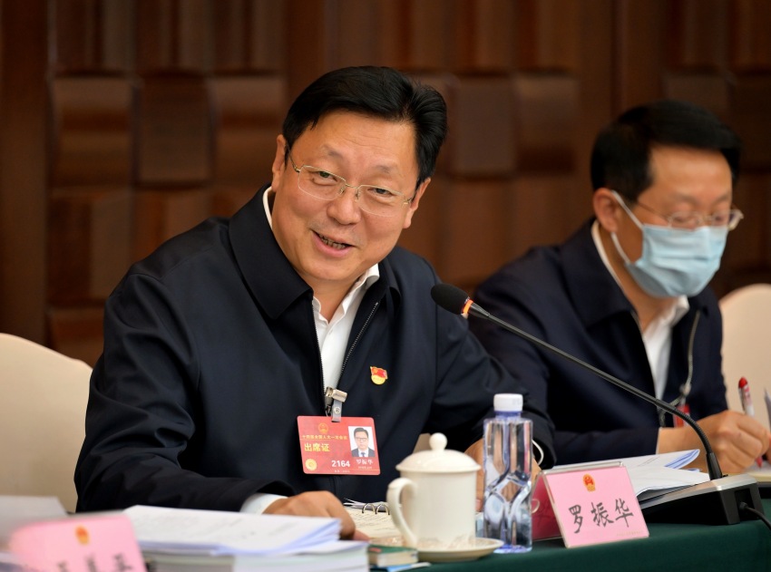 全國(guó)人大代表羅振華。