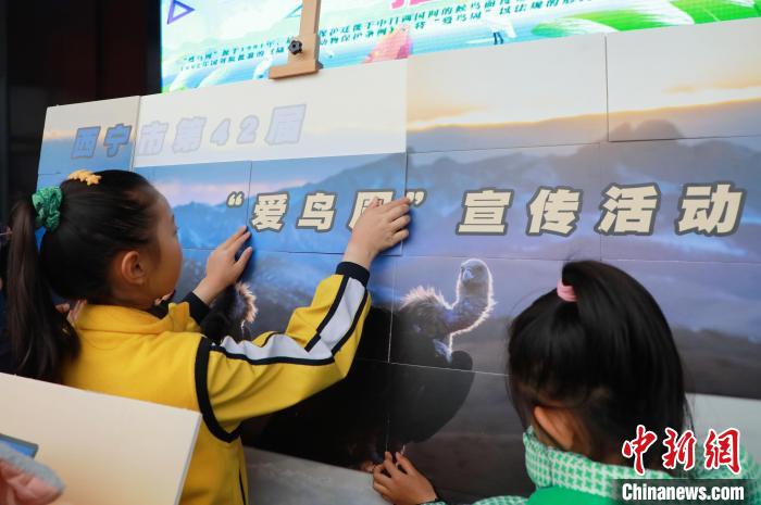 圖為學(xué)生通過拼圖游戲了解鳥類知識?！●R銘言 攝