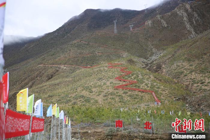 圖為拉薩南北山綠化工程拉薩曲水縣才納村5號(hào)片區(qū)?！∝暣_ 攝