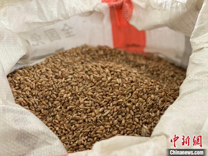 青海:著力6項重點工作確保糧油單產(chǎn)提升成效