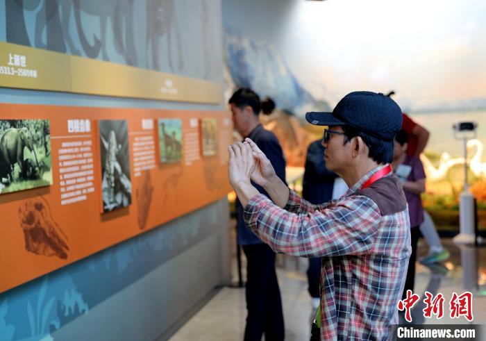 圖為臺商在祁連山國家公園生態(tài)科普館觀看墻面藝術(shù)圖文?！⊙Φ?攝