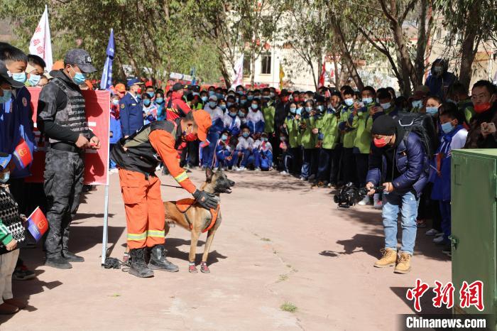 圖為搜救犬服從和箱體搜救演練?！≮w琳 攝