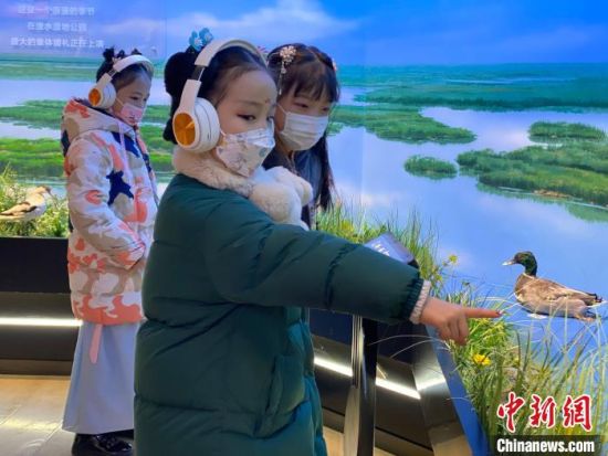 圖為學(xué)生在西寧市第一中學(xué)濕地科普宣教館內(nèi)參觀。　李江寧 攝