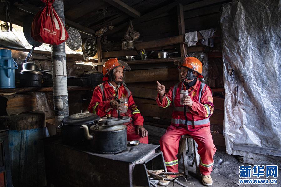 (圖文互動)(7)從坐吃山空到護林守山——西藏林芝為雪域高原獻上“綠色哈達”