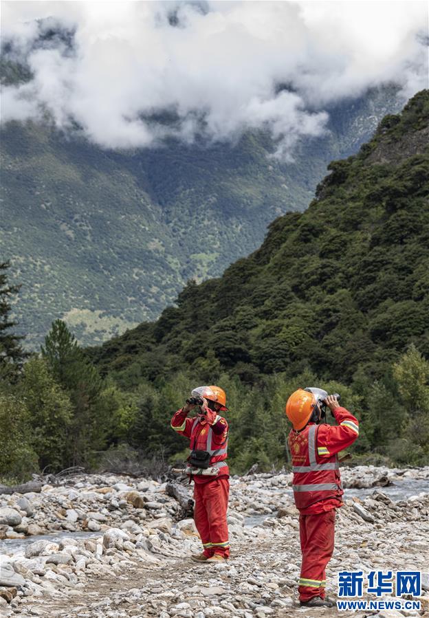 (圖文互動)(4)從坐吃山空到護林守山——西藏林芝為雪域高原獻上“綠色哈達”