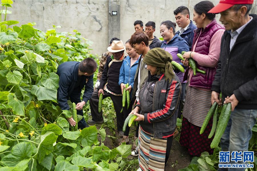 （新華全媒頭條·走向我們的小康生活·圖文互動）（9）扎西德勒，我們的新家園——西藏易地扶貧搬遷搬出幸福美好新生活
