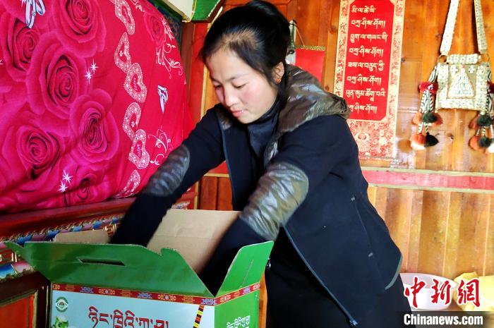 圖為通麥村村民巴桑拉姆把精心挑選的蘋果裝箱?！∝暽＠?攝