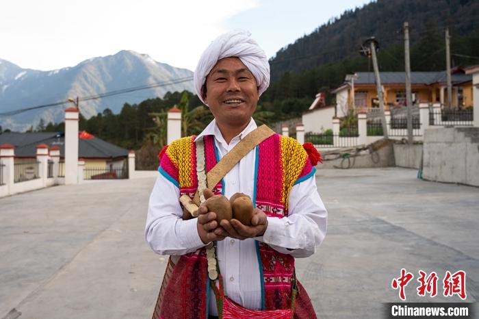 1月29日，京都村委會(huì)主任阿胖正在展示該村種植的獼猴桃。<a target='_blank' ><p  align=