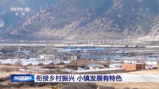 種蘑菇、養(yǎng)駱駝...。。特色產業(yè)助力鄉(xiāng)村振興走新路