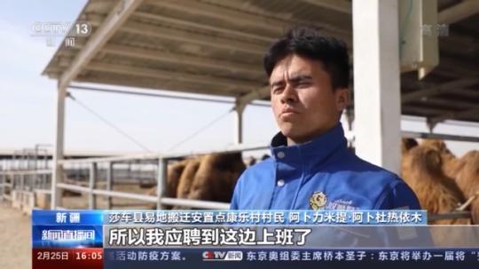 種蘑菇、養(yǎng)駱駝...。。特色產業(yè)助力鄉(xiāng)村振興走新路