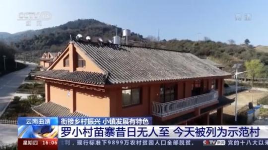 種蘑菇、養(yǎng)駱駝...。。特色產業(yè)助力鄉(xiāng)村振興走新路