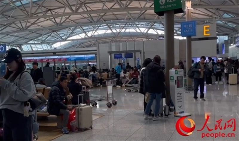 11月29日，繁忙的仁川機場。人民網(wǎng) 李帆攝