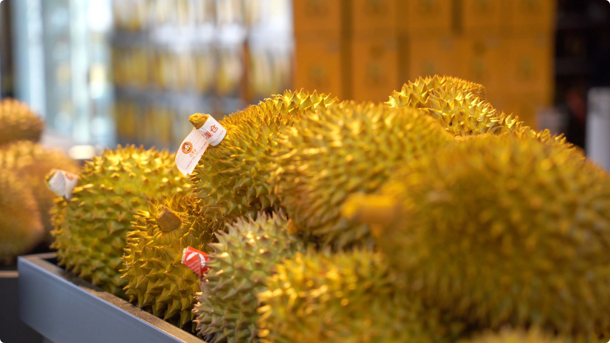 5月初，人民網(wǎng)記者申佳平攝