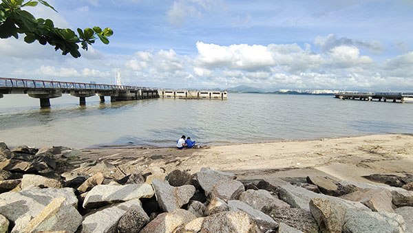 深圳紅樹林灘涂，留給了孩子們親近自然的空間。人民網(wǎng)記者 李彤?dāng)z