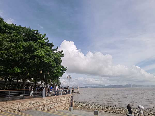 紅樹林灘涂沿線一角。人民網(wǎng)記者 張素玲攝