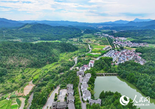 資溪縣森林資源豐富，森林覆蓋率達87.7%，有林地資源168萬畝。人民網(wǎng) 朱海鵬攝