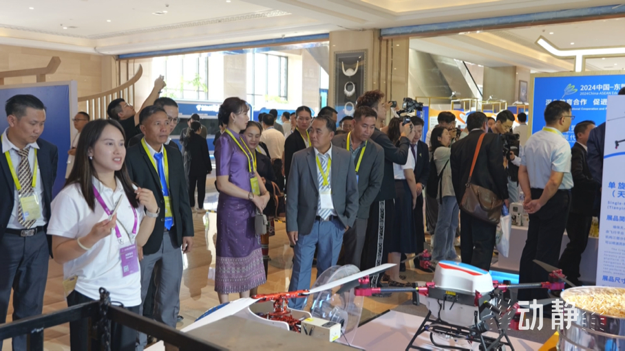 展示成果分享經(jīng)驗(yàn)，中國—東盟教育交流周深化合作共創(chuàng)未來！