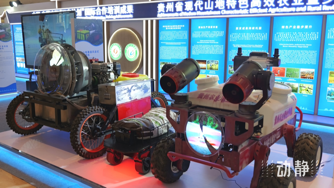 展示成果分享經(jīng)驗(yàn)，中國—東盟教育交流周深化合作共創(chuàng)未來！