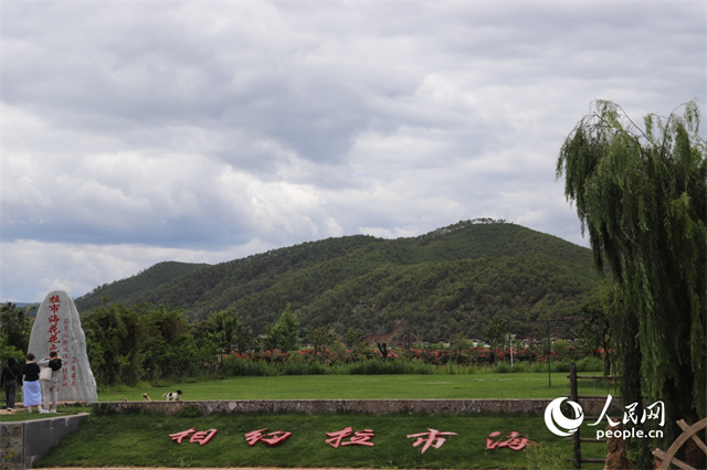 麗江市拉市海景區(qū)。 人民網(wǎng)記者 程浩攝