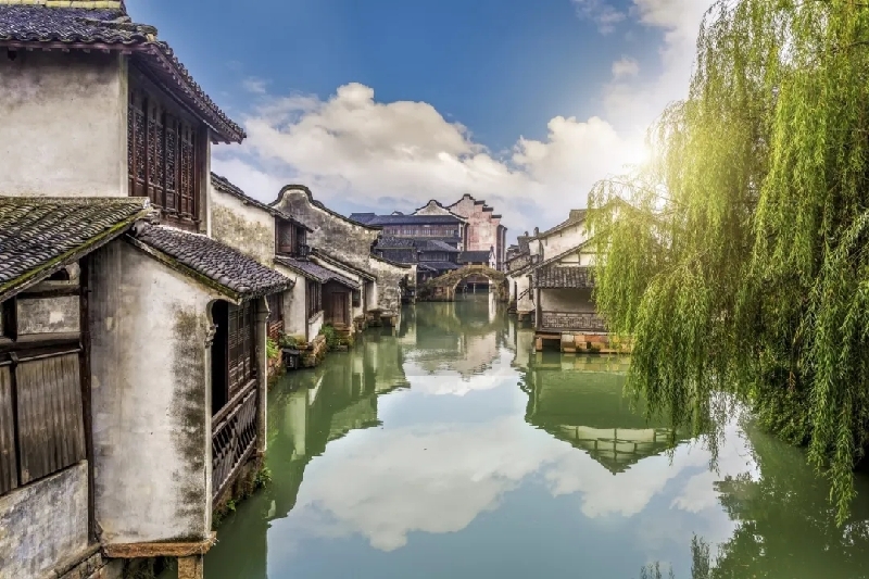 烏鎮(zhèn)動觀察｜這個字，牽起國際交流互鑒之紐帶