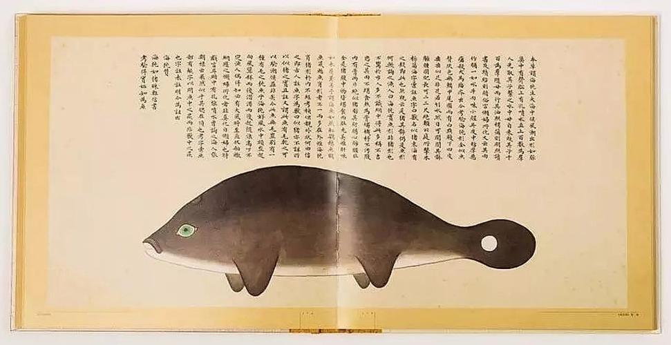 文化中國(guó)行 長(zhǎng)江之歌丨微笑的江豚，從四千年前“游”來(lái)