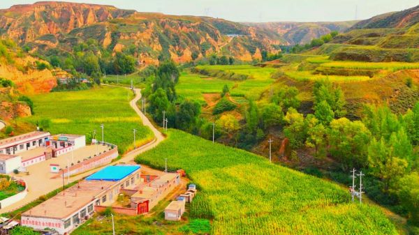 78dd25c91fcc9cb25c3b7a16c6decba