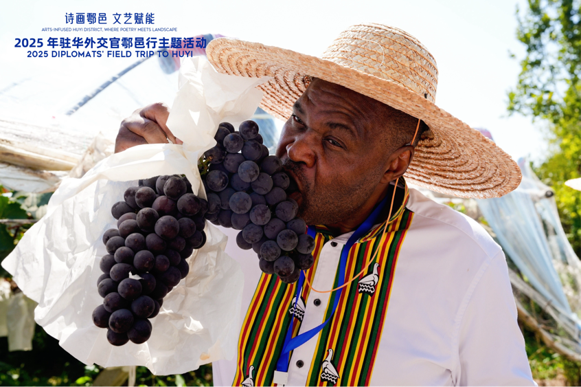 智慧“種”進(jìn)葡萄園 駐華外交官品讀鄉(xiāng)村振興“中國(guó)甜”_fororder_圖片9