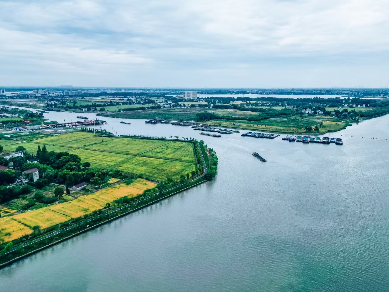 太浦河沿岸好風(fēng)光。吳橫軒攝