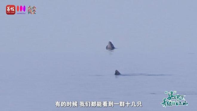 “縣”在起筆 青綠繪江山 | 江灣沐曉：褪去“銹色”走“金線”，繡出生態(tài)與產(chǎn)業(yè)“雙面錦”