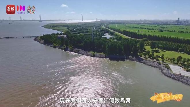 “縣”在起筆 青綠繪江山 | 江灣沐曉：褪去“銹色”走“金線”，繡出生態(tài)與產(chǎn)業(yè)“雙面錦”