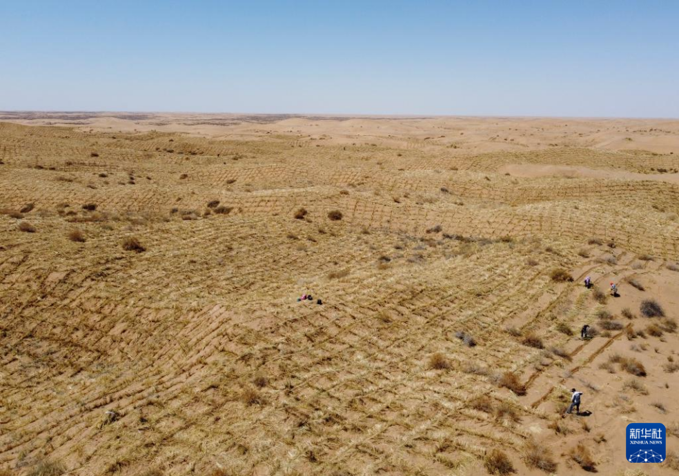 2024年4月10日，群眾在古浪縣八步沙林場麻黃塘沙區(qū)用草方格壓沙。新華社發(fā)（無人機(jī)照片）