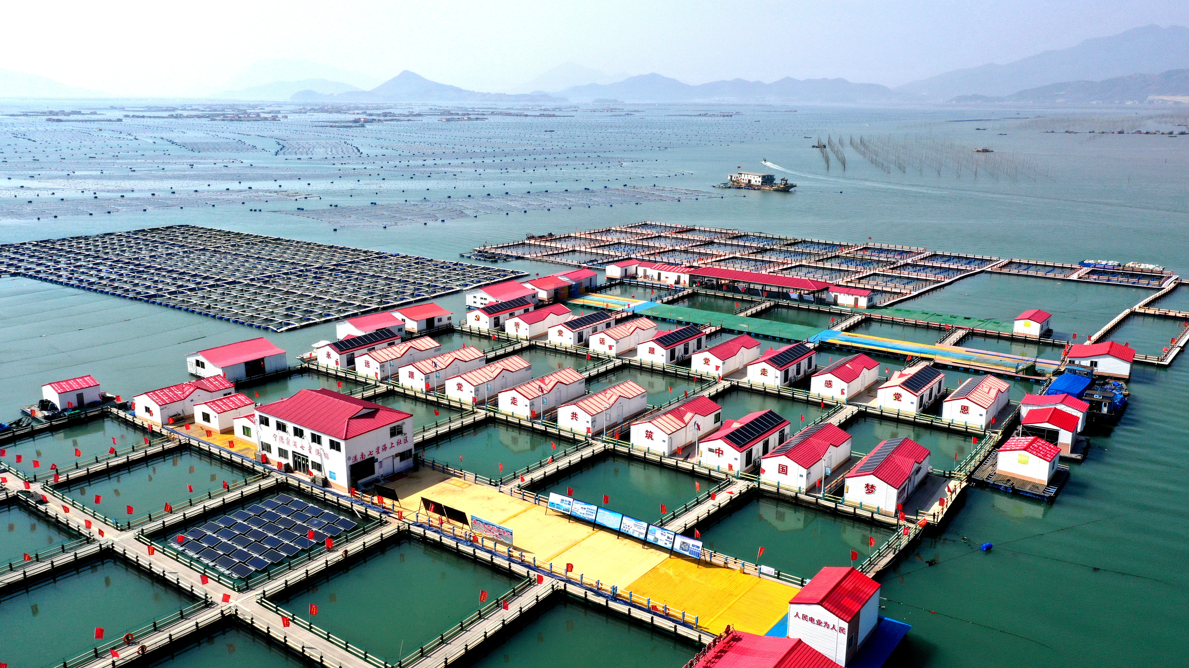 2024年3月20日，福建省寧德市，霞浦縣溪南鎮(zhèn)七星村漁排養(yǎng)殖示范區(qū)，漁民駕駛養(yǎng)殖船進(jìn)行海參養(yǎng)殖作業(yè)。