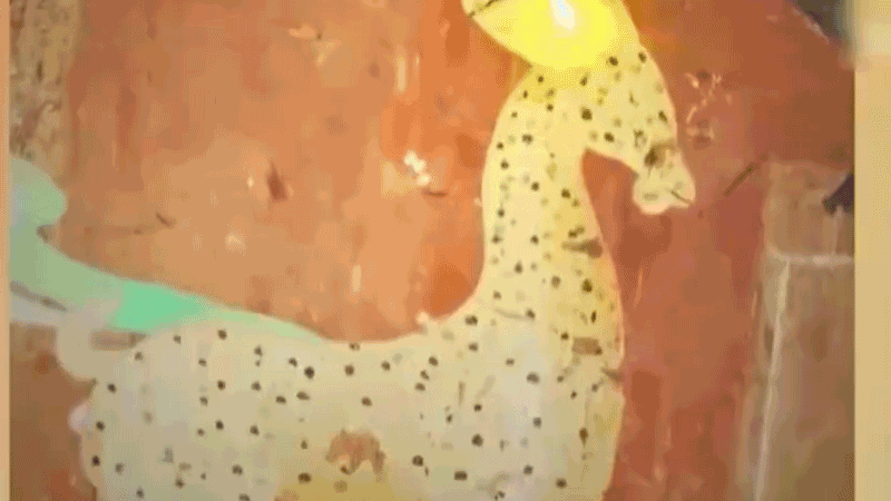 在全新技術支持下，敦煌莫高窟實現(xiàn)了窟內文物窟外看的新體驗。