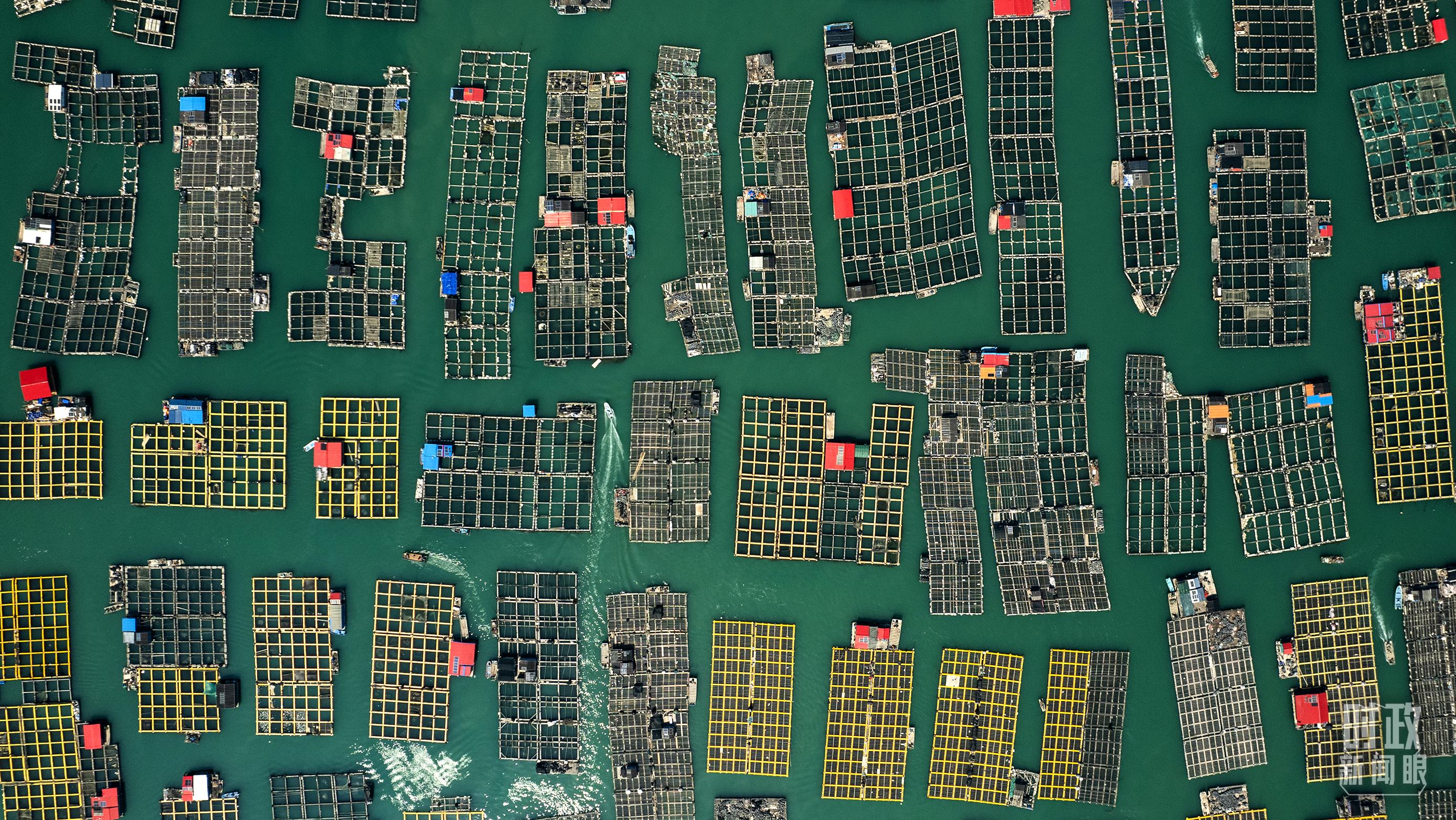 △澳角村。（總臺記者李晉拍攝）