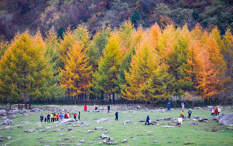 2023年10月27日，深秋時(shí)節(jié)的陜西秦嶺太子嶺漫山紅黃、色彩交織，進(jìn)入最佳觀賞期。