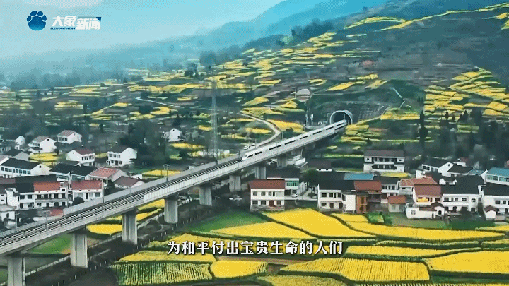 家國(guó)永念 | 看，山河已無(wú)恙