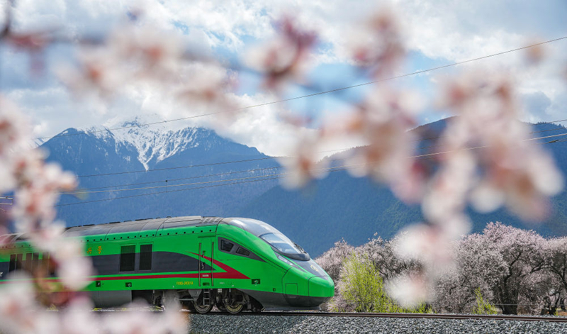 2025年4月2日，復(fù)興號列車穿行在拉林鐵路林芝段。