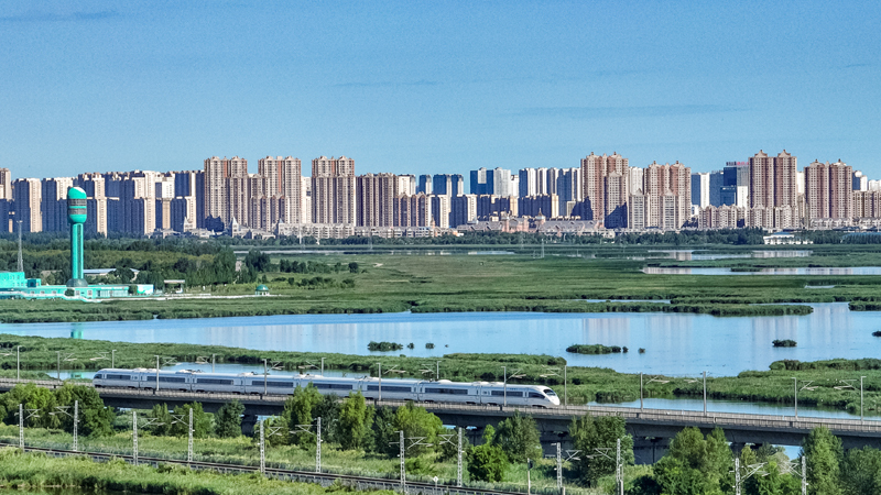 2025年8月17日，一列動車組列車駛過大慶東站。