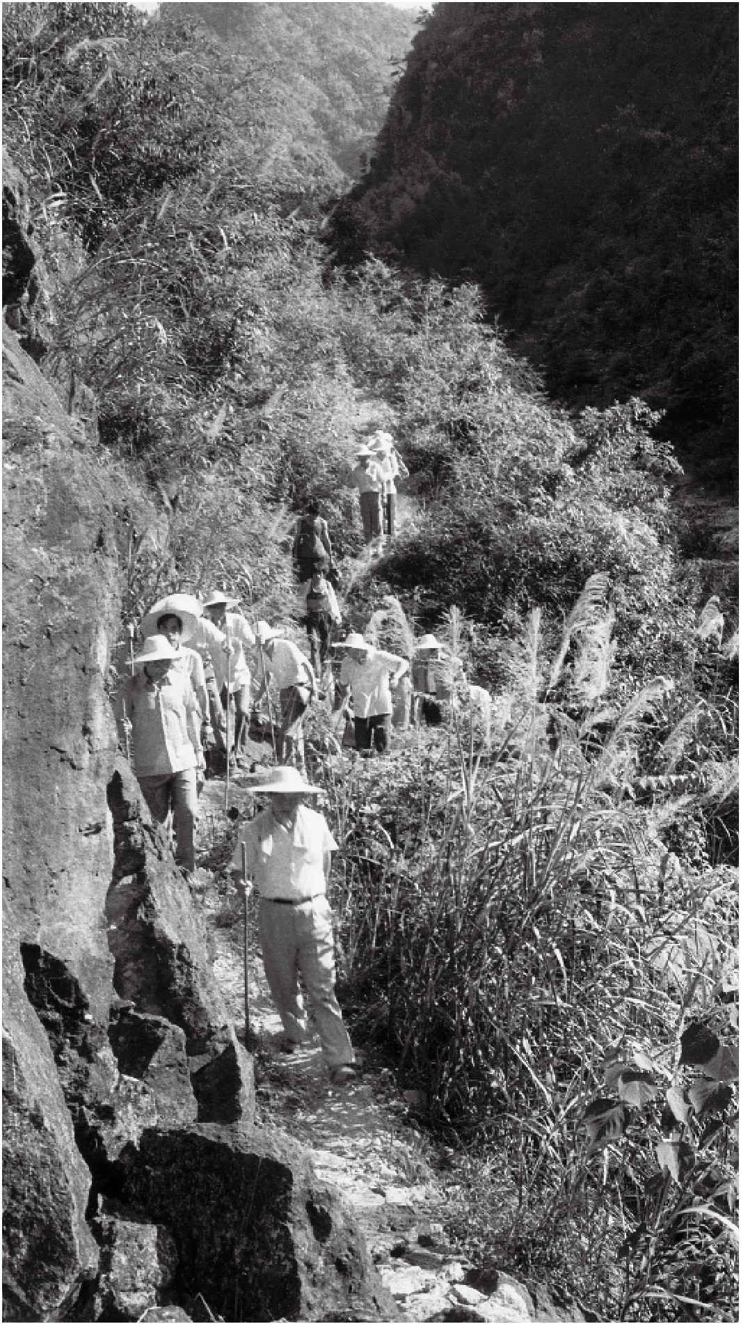 1989年7月，習(xí)近平一行到壽寧縣下黨鄉(xiāng)調(diào)研。