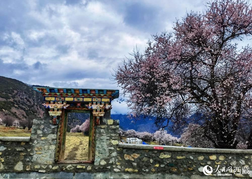 桃花下的藏式民居。人民網(wǎng) 李海霞攝