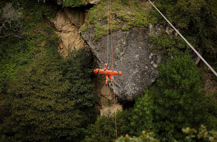 叢林中的橙色身影。西繞拉翁攝