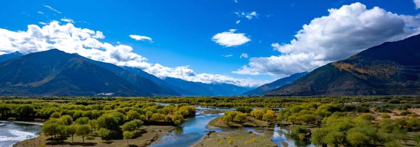 西藏:雅尼濕地秋日風光正好【4】