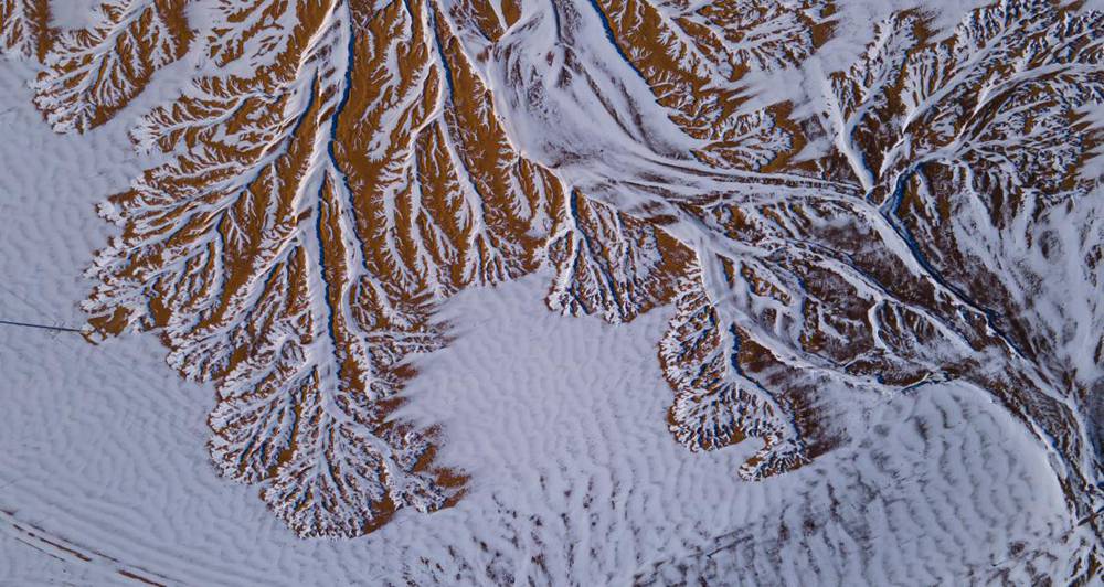 栩栩如生的枝干。邊巴多吉攝