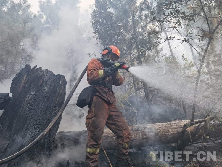 5 阿旺旦培攝 察雅“4.30”任務(wù)中撲打火頭.jpg 5 阿旺旦培攝 察雅“4.30”任務(wù)中撲打火頭.jpg