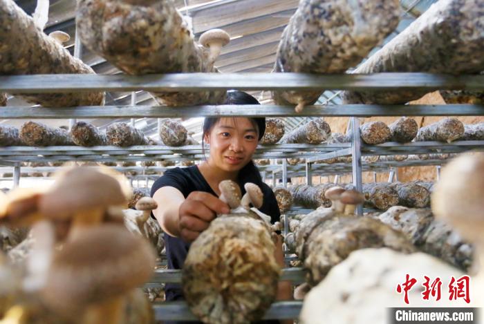 甘肅天?！跋愎椒蚱蕖毕律饺氪ǎ捍笈锢镉板X景”