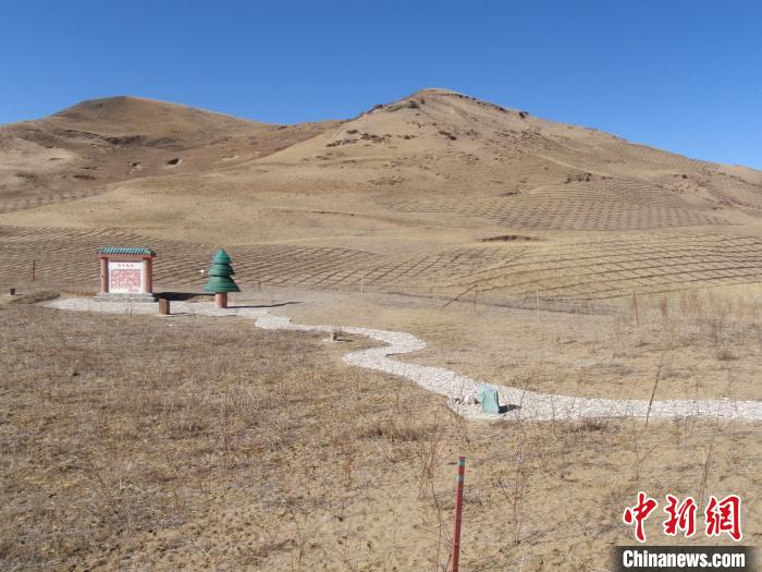 四川省阿壩州若爾蓋縣草原沙化治理前。若爾蓋縣林業(yè)和草原局供圖