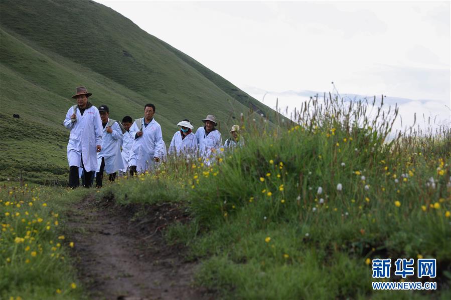 (社會(huì))(6)夏日采藥季
