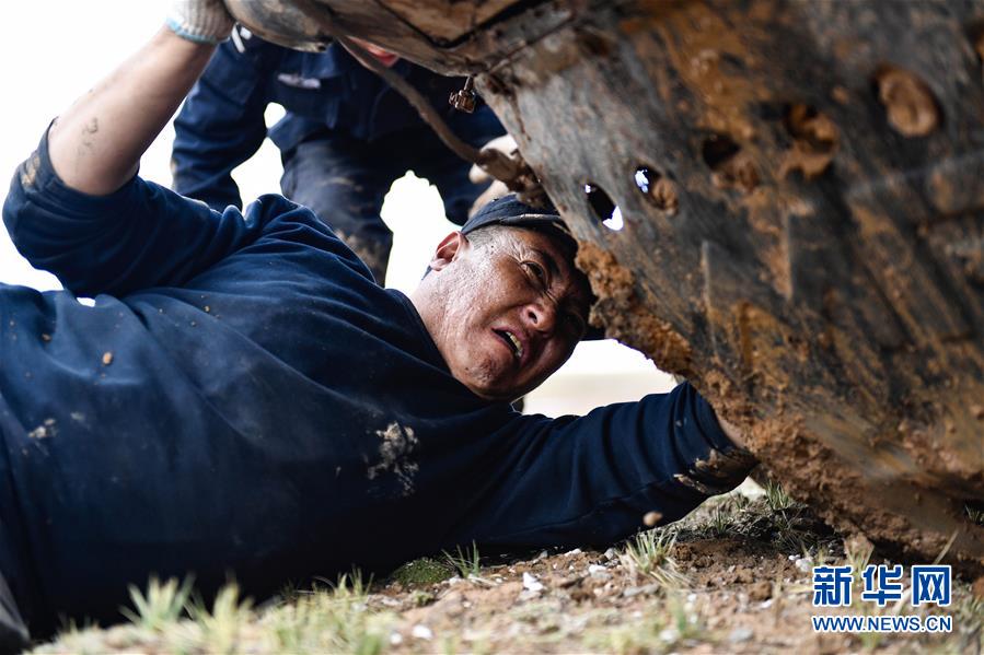 （圖文互動(dòng)）（1）記者手記：可可西里，“挪”向“藏羚羊大產(chǎn)房”的14個(gè)半小時(shí)