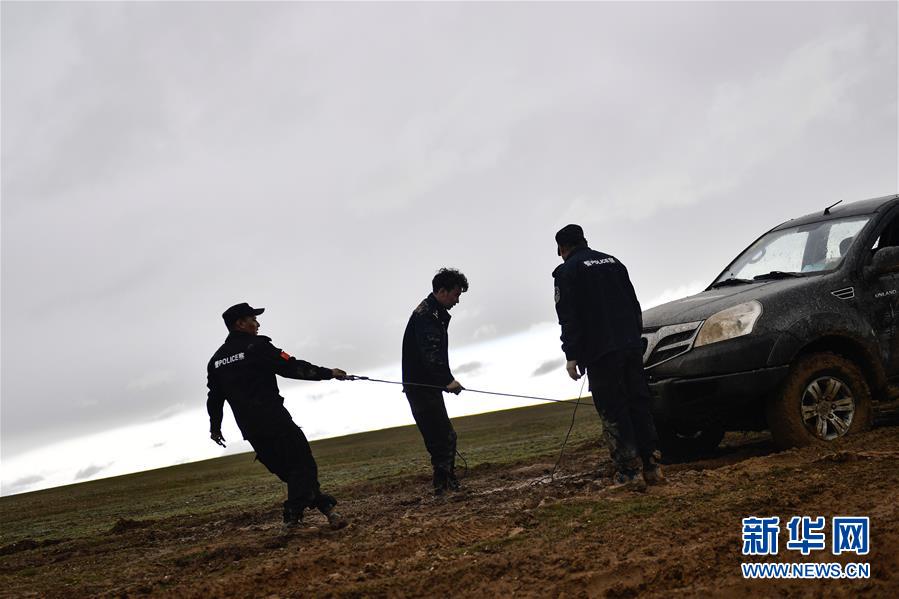 （圖文互動(dòng)）（10）記者手記：可可西里，“挪”向“藏羚羊大產(chǎn)房”的14個(gè)半小時(shí)