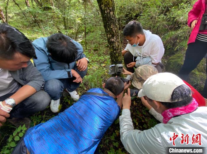 圖為訪客正在查看紅外相機(jī)中的拍攝畫面?！±罱瓕?攝